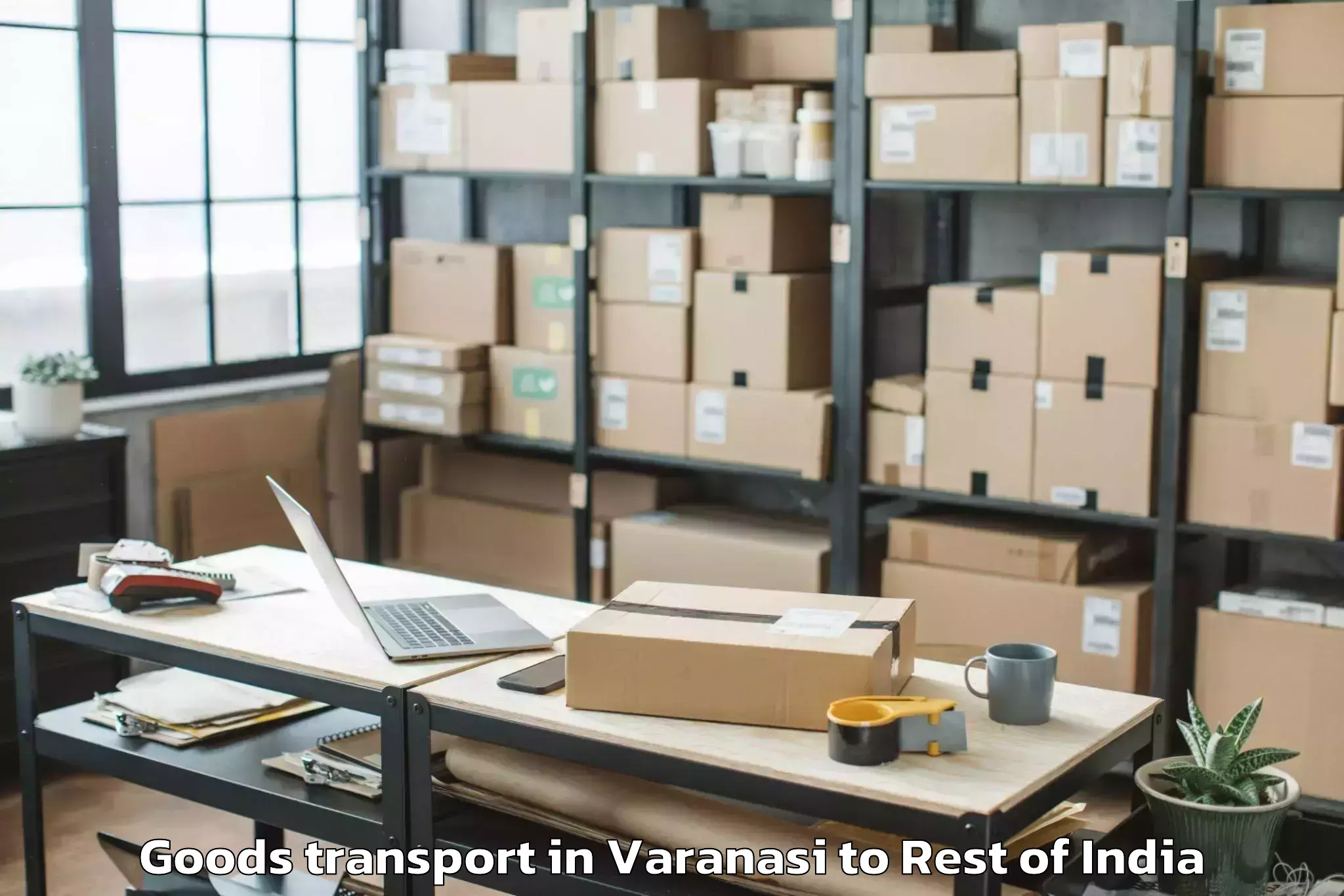 Quality Varanasi to Voligonda Goods Transport